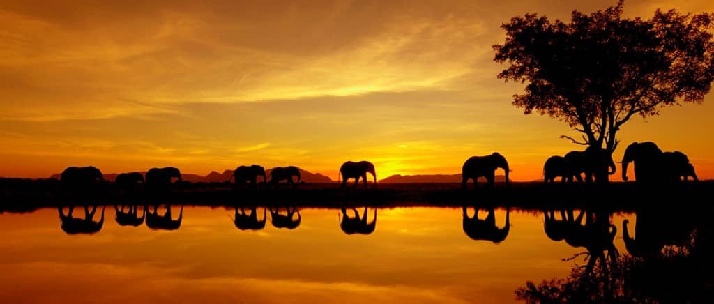 19 Beautiful Sunsets