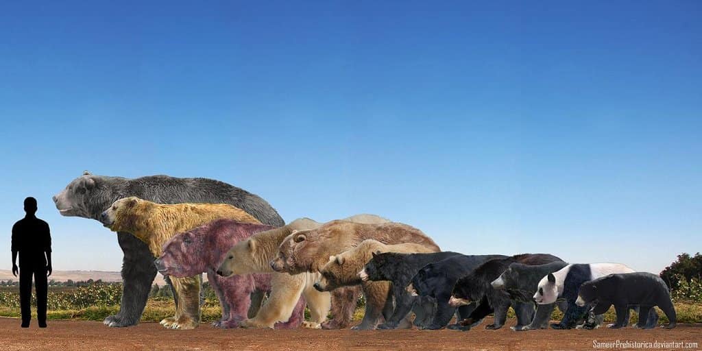 Which is (was) the largest bear on Earth?