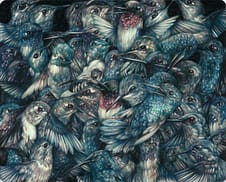 Detailed Colored Pencil Drawings of Flora and Fauna by Marco Mazzoni marco-1