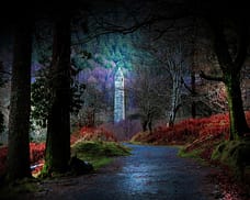 18 Mysterious Forests You won’t mind To Get Lost In 20. Glendalough, County Wicklow, Ireland - 22 Mysterious Forests I’d Love To Get Lost In