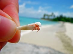 23 Mind-Blowing Animal Pictures Mind-Blowing Animal Pictures 2
