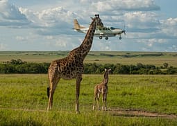 The Comedy Wildlife Photography Awards - FINALISTS 2017 2017 Comedy Wildlife Photography Awards - Final 40