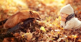Russian Photographer Captures The Powerful Bond Between Children And Animals ScreenShot3578