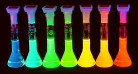 10 Weird Science Facts weird science facts