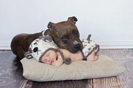 25 heart-melting photos proving that babies really need pets 8736510-R3L8T8D-650-14_20130913201829_5547005_large