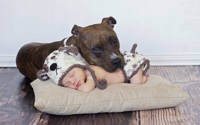 25 heart-melting photos proving that babies really need pets