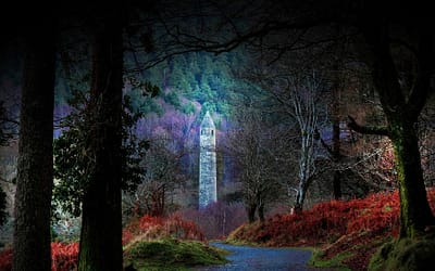 18 Mysterious Forests You won’t mind To Get Lost In