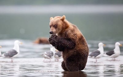 20 Scheming Animals That Are Planning Terrible Things
