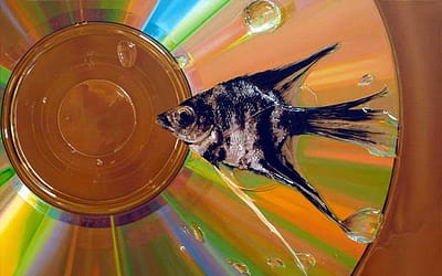 Hyper-Realistic Paintings by Young-Sung Kim