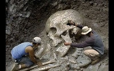 Very Strange Bones. Did Giants Really Exist ?