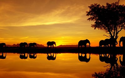 19 Beautiful Sunsets