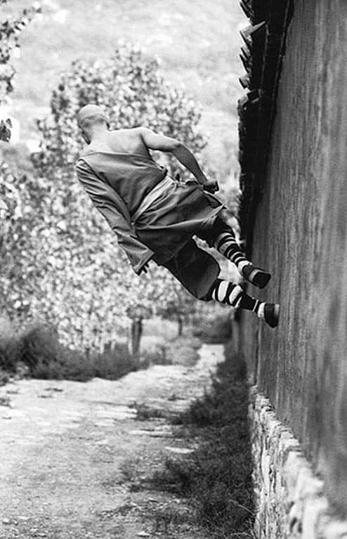 shaolin monks 