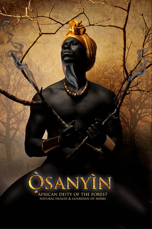 Remarkable Images of African Orisha Deities - Osanyin