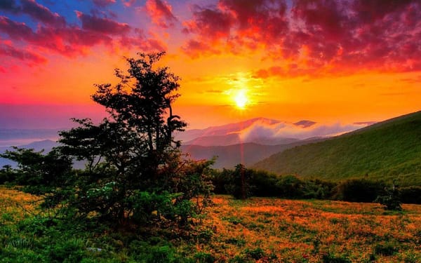 beautiful sunsets 3