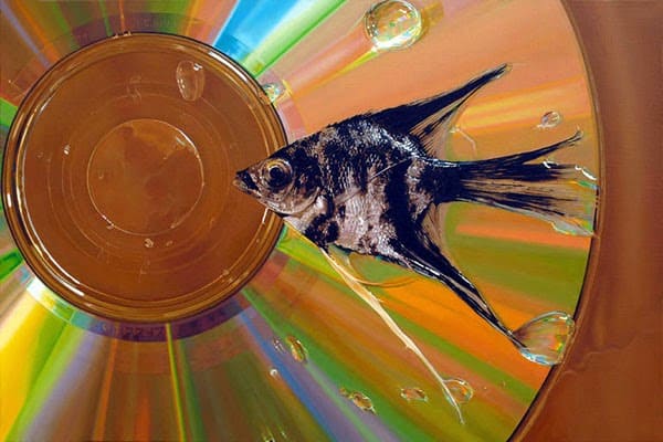 Hyper-Realistic Paintings by Young-Sung Kim
