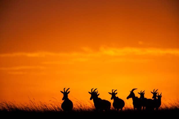 Sunsets On The Masai Mara