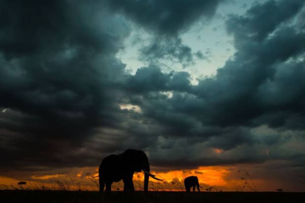 Sunsets On The Masai Mara