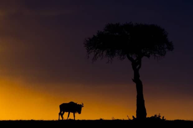 Sunsets On The Masai Mara