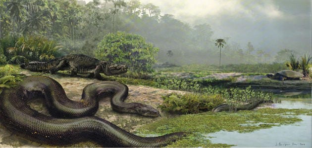 Titanoboa-Monster-dinosaurs-631