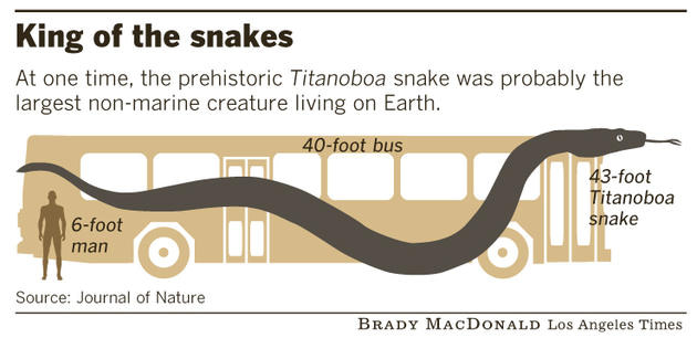 titanoboa comparison