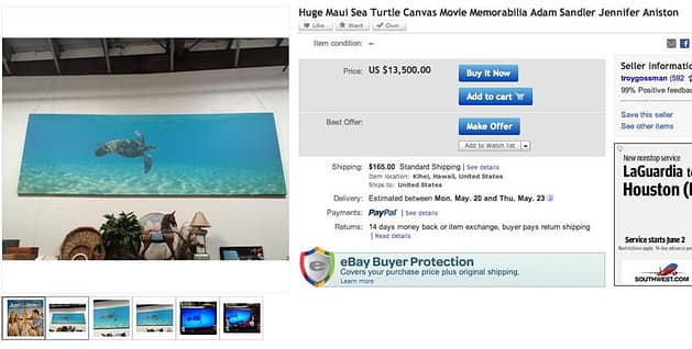 Most Stupid Things You Can Buy From Ebay - Turtle Poster