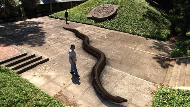 titanoboa