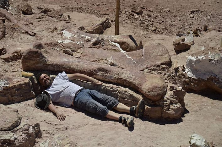 Handout picture released on May 17, 2014 by the Egidio Feruglio Paleontological Museum showing a technician next to a dinosaur fossile -- likely to be the largest ever to roam the earth-- in Chubut, some 1,300 kilometers (800 miles) south of Buenos Aires. Paleontologists in Argentina's remote Patagonia region have discovered fossils of a creature is believed to be a new species of Titanosaur, a long-necked, long-tailed sauropod that walked on four legs and lived some 95 million years ago in the Cretaceous Period. AFP PHOTO / Museo Egidio Feruglio RESTRICTED TO EDITORIAL USE - MANDATORY CREDIT "AFP PHOTO / Museo Egidio Feruglio" - NO MARKETING NO ADVERTISING CAMPAIGNS - DISTRIBUTED AS A SERVICE TO CLIENTS