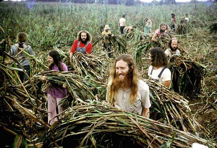 hippie-commune-harvest