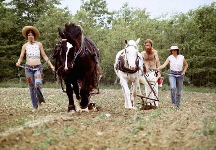 hippie-commune-the-farm-3