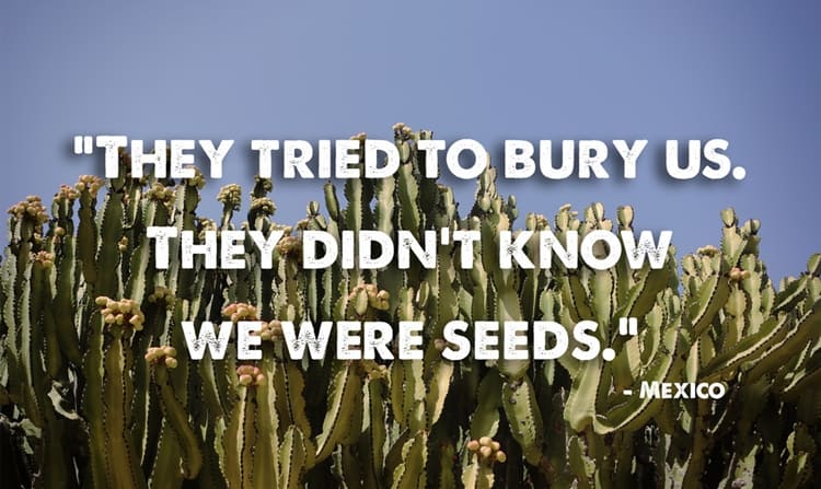 21 Beautiful And Inspirational Proverbs From Around The World - Tried To Bury Us - Mexico