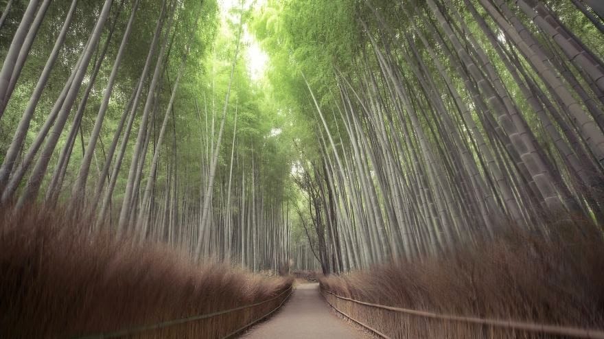 Arashiyama, Japan