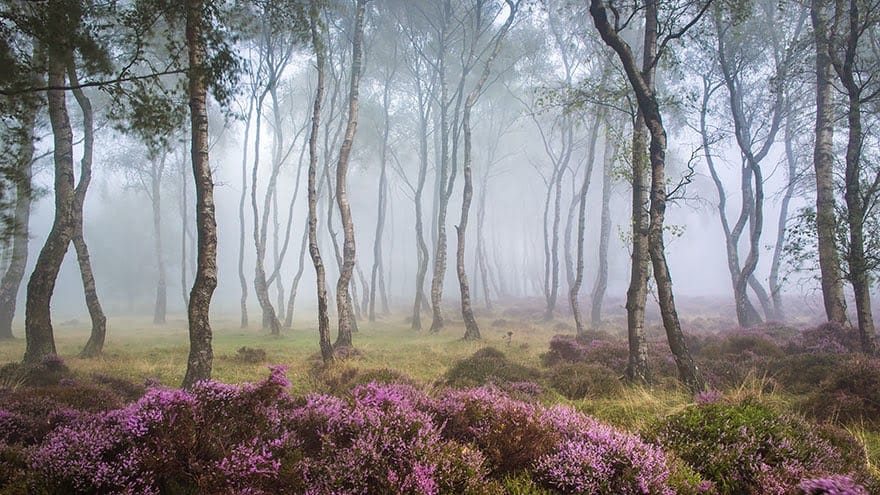 Stanton Moor, Peak District, UK