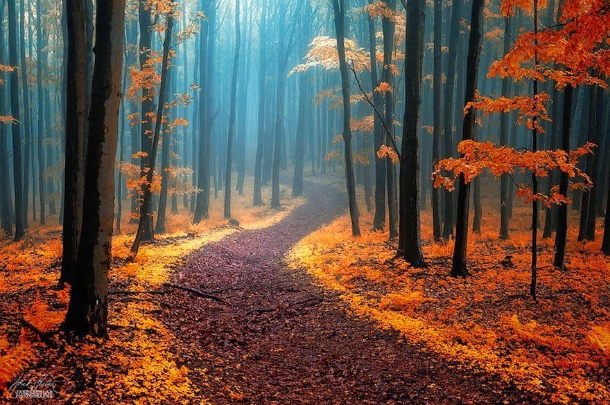 Image credits: Janek Sedlar White Carpathians