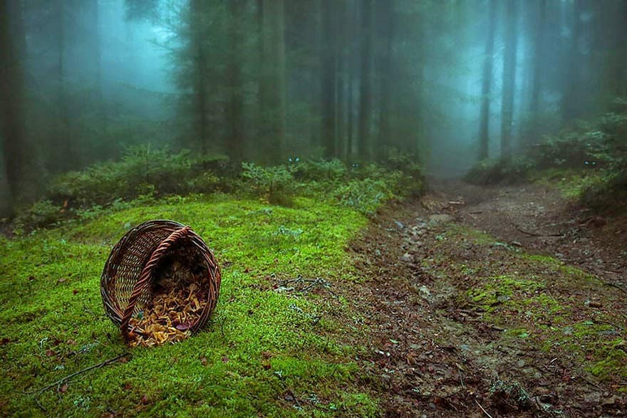 Haute-loire, France Haute-loire, France