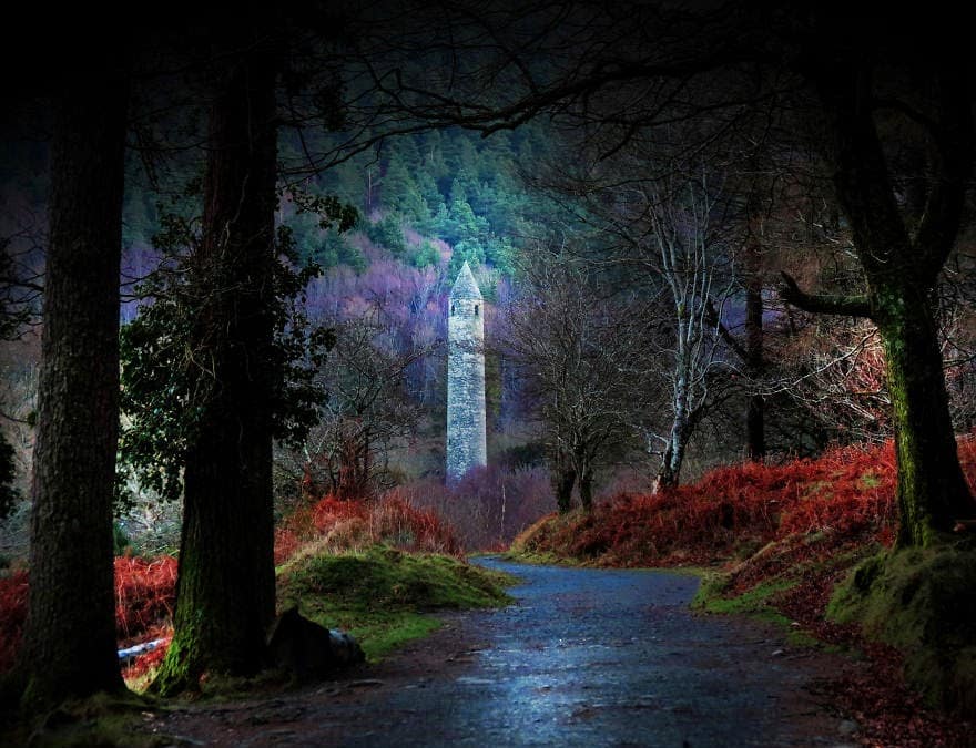 18 Mysterious Forests You won’t mind To Get Lost In
