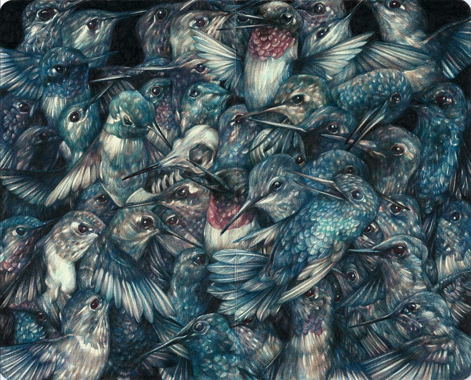 Detailed Colored Pencil Drawings of Flora and Fauna by Marco Mazzoni
