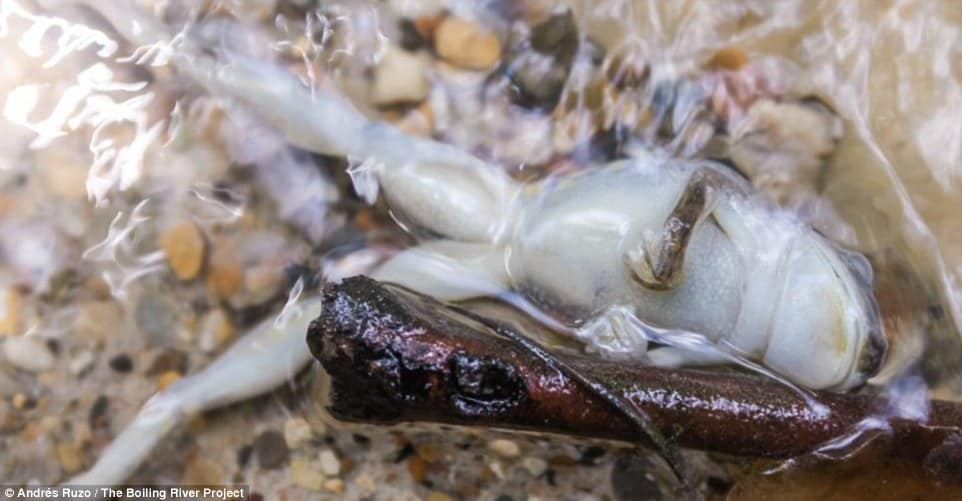 Mayantuyacu -The Boiling River in Peru 2
