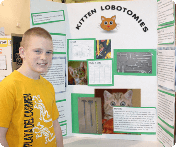 funny-science-fair-projects-kitten-lobotomies