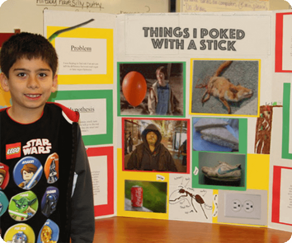 funny-science-fair-projects-things-i-poked-with-stick